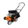 Аэратор-скарификатор бензиновый GTM GC-SC 2240 P-1, 5.6 л.с., 40 см, травосборник 45 л - 3